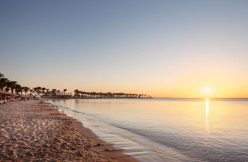 Palm Royale Resort - photo 2