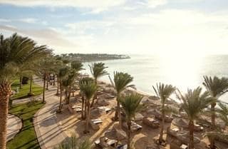 Palm Royale Resort - photo 3