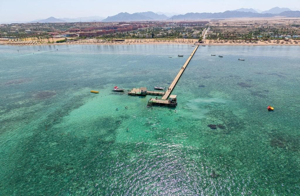 Nabq Bay, Aurora - photo 3