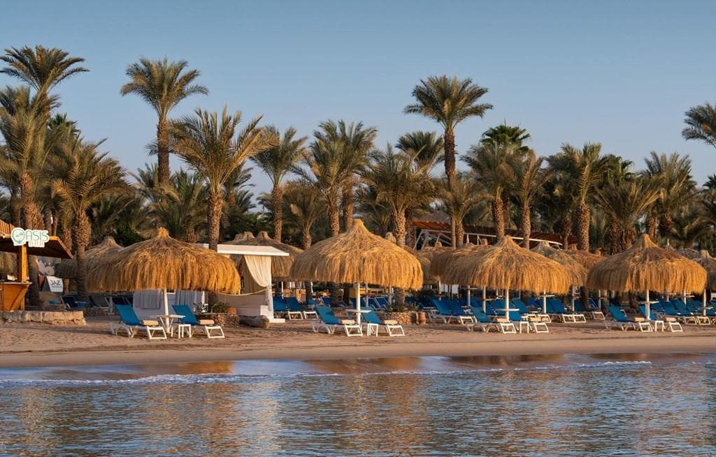 JAZ Fayrouz Resort - photo 3
