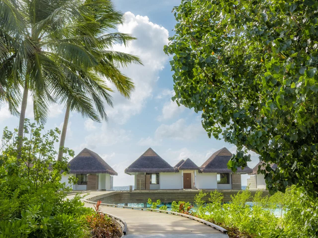 DusetD2 Feydhoo Maldives - Luxury Break - photo 2
