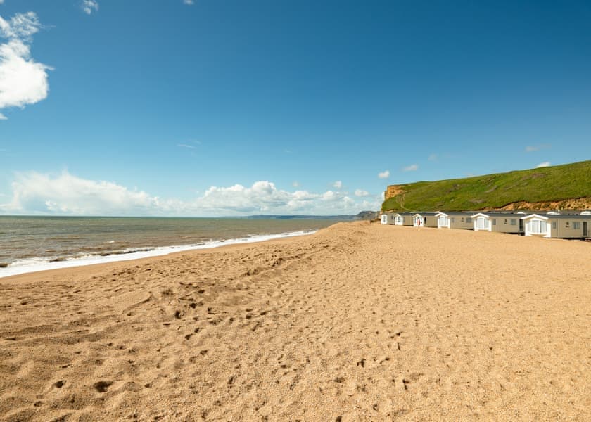 Freshwater Beach - photo 3
