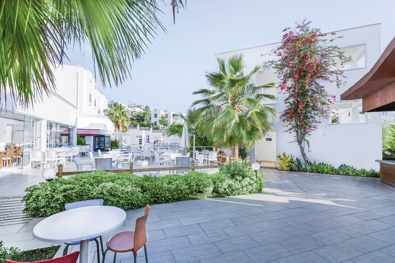 Club Shark Hotel - photo 3