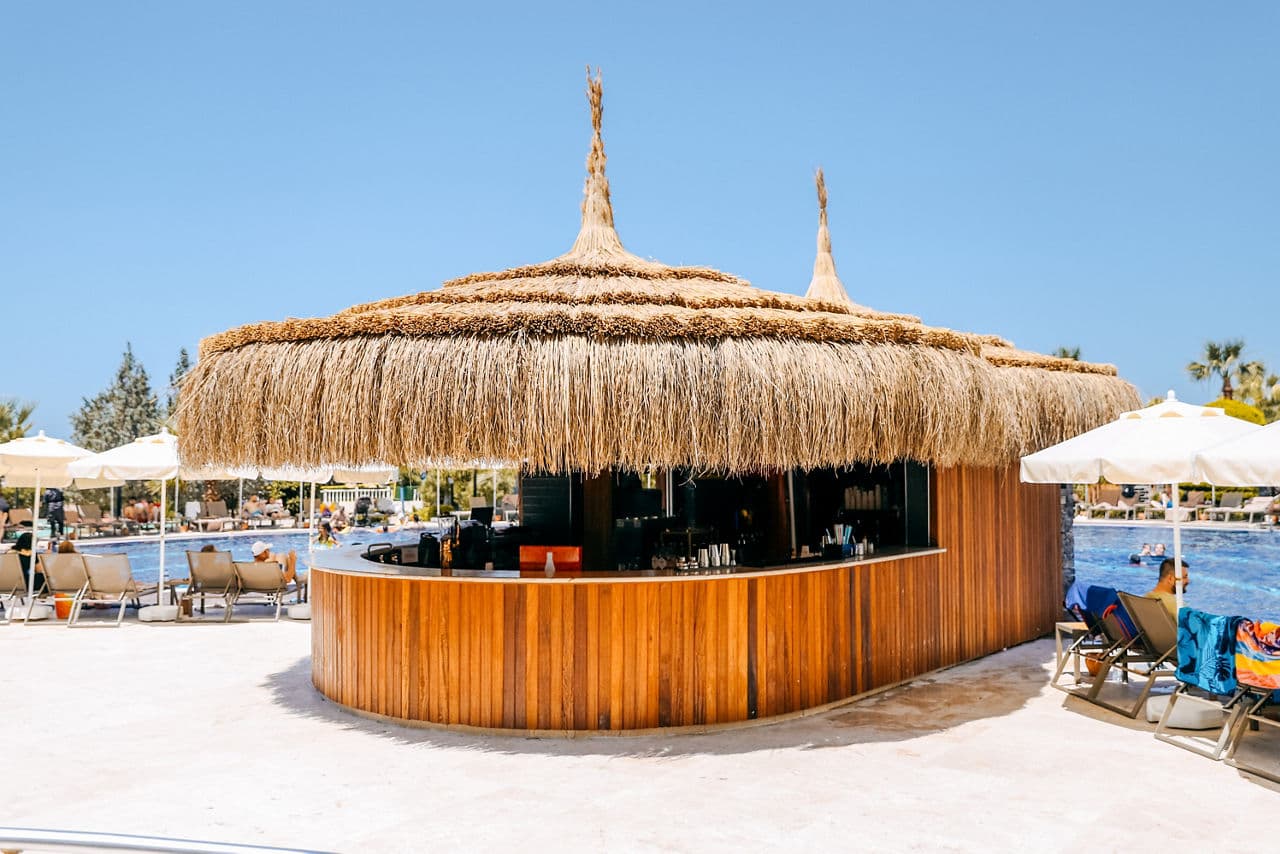 Agaya Didim Resort Hotel - photo 3