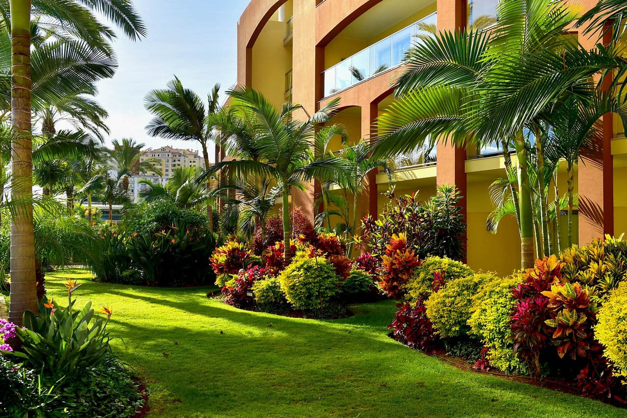 Madeira Escape - photo 2
