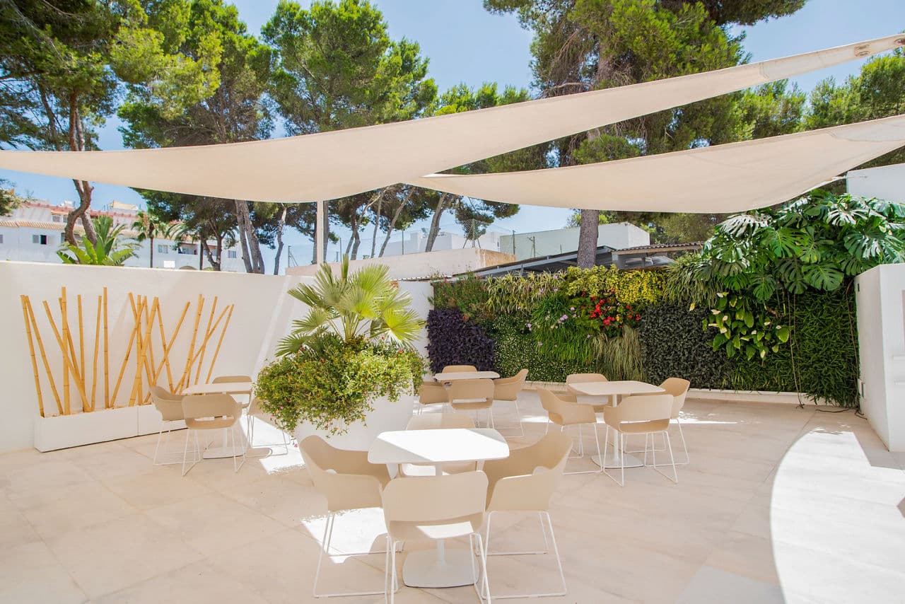 Holiday to Ibiza - main photo