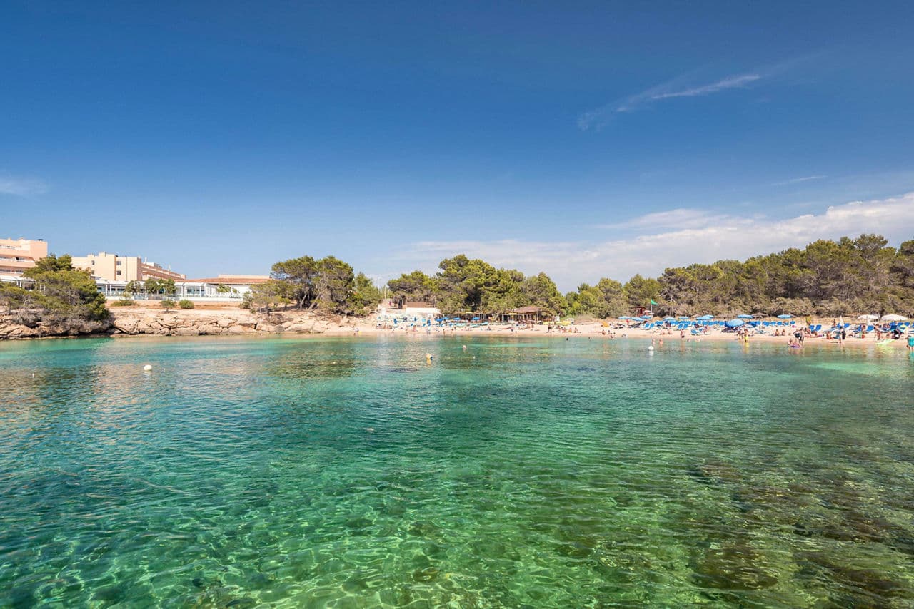 Holiday to Ibiza - photo 2