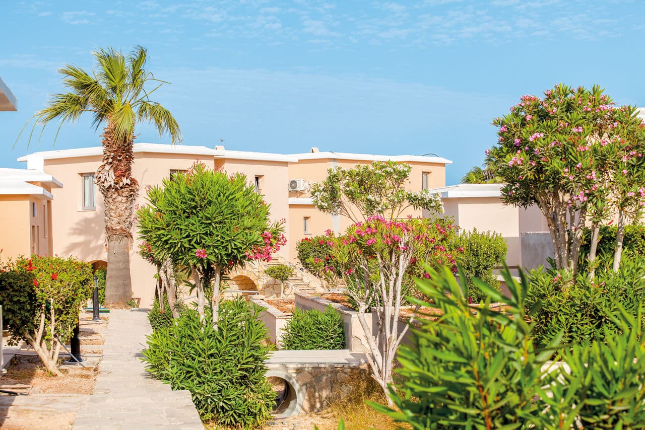 Holiday to Cyprus - photo 3