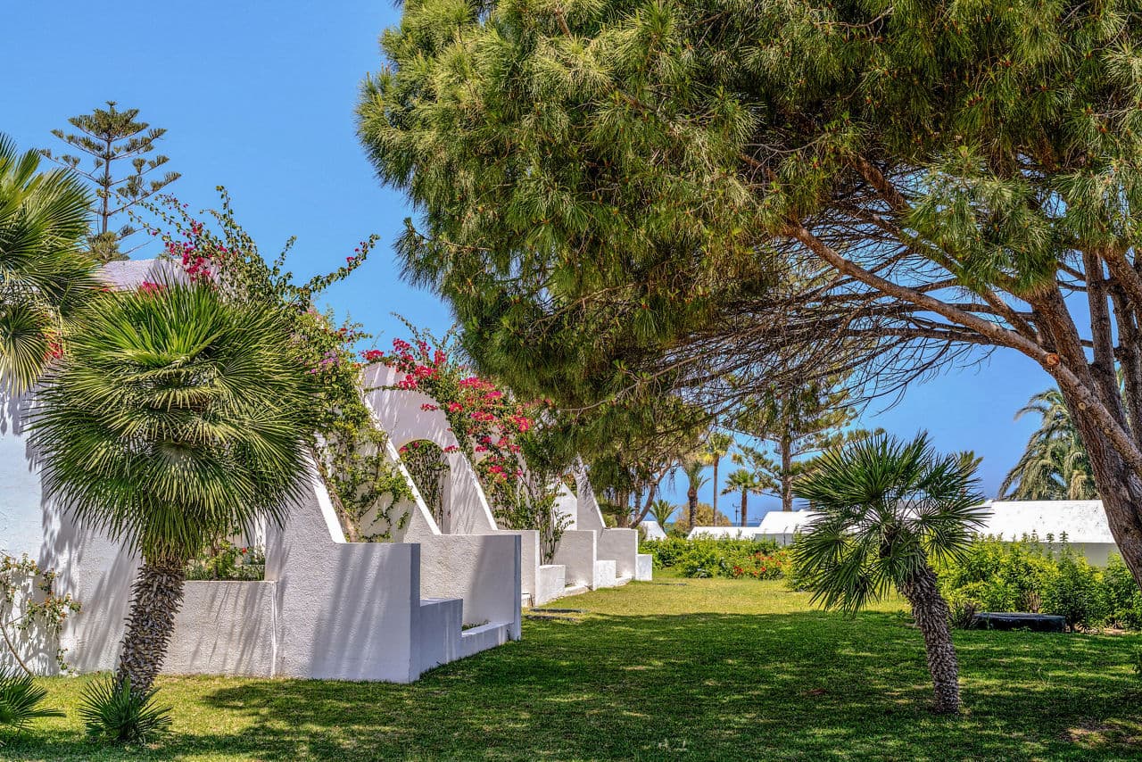 Holiday to Tunisia - photo 2
