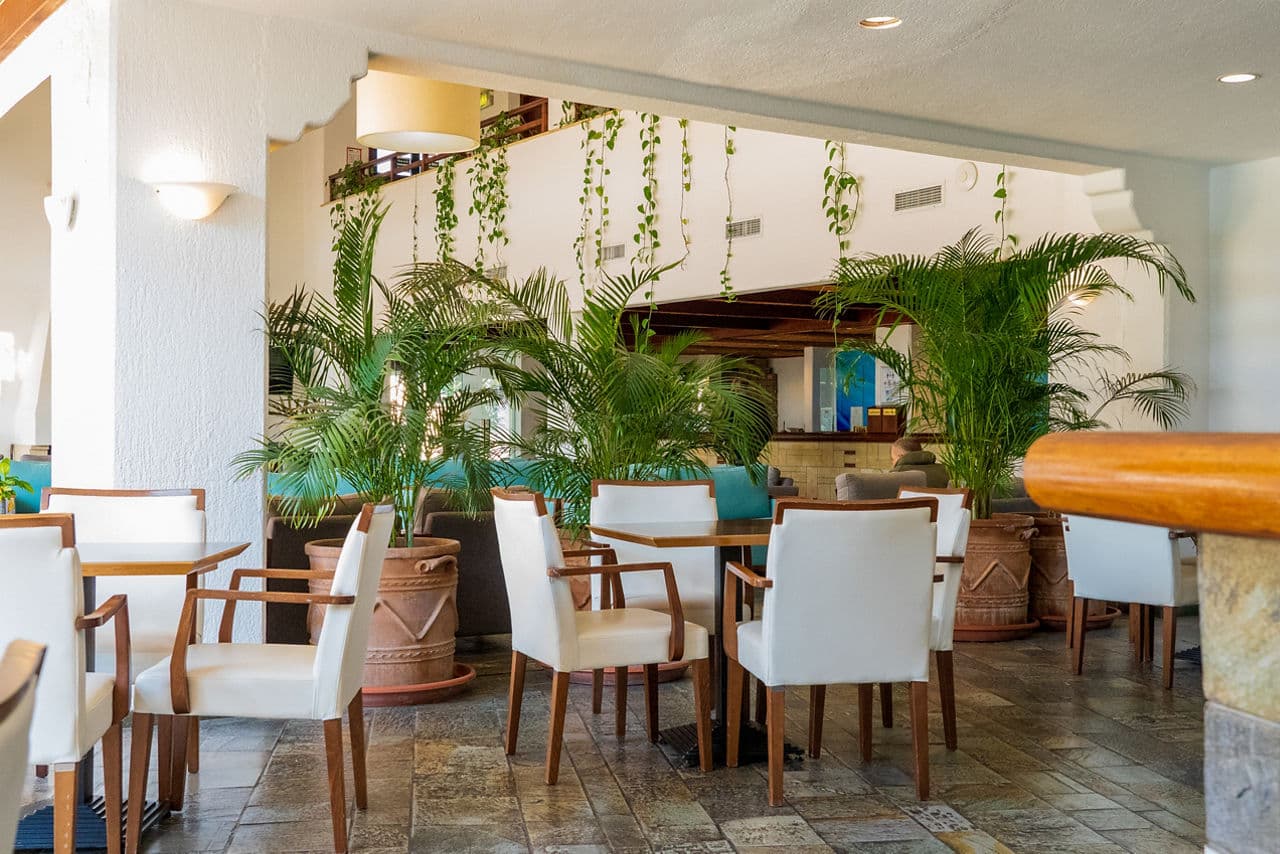 Paphos Gardens Hotel - photo 2