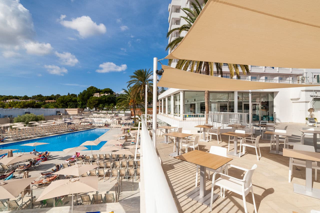 Globales Mimosa in Palma Nova