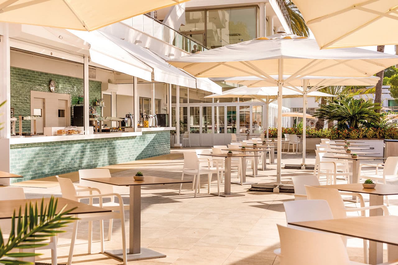 Globales Mimosa in Palma Nova - photo 2