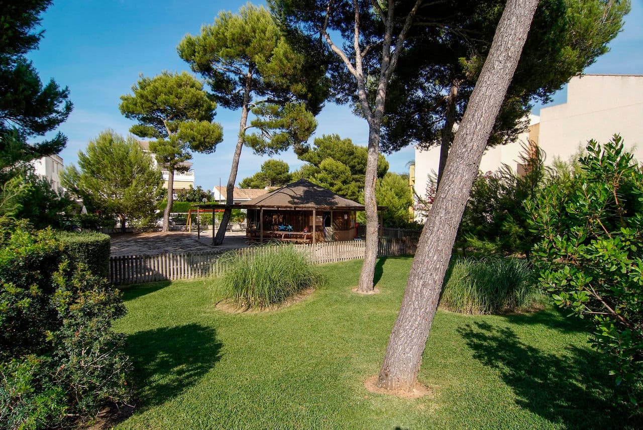Zafiro Mallorca - photo 2