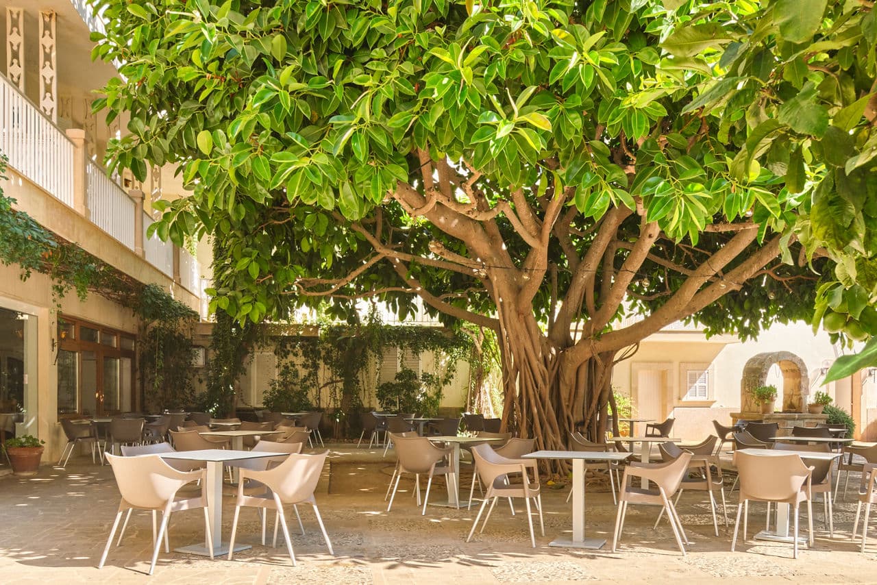 Majorca Family Getaway - photo 2