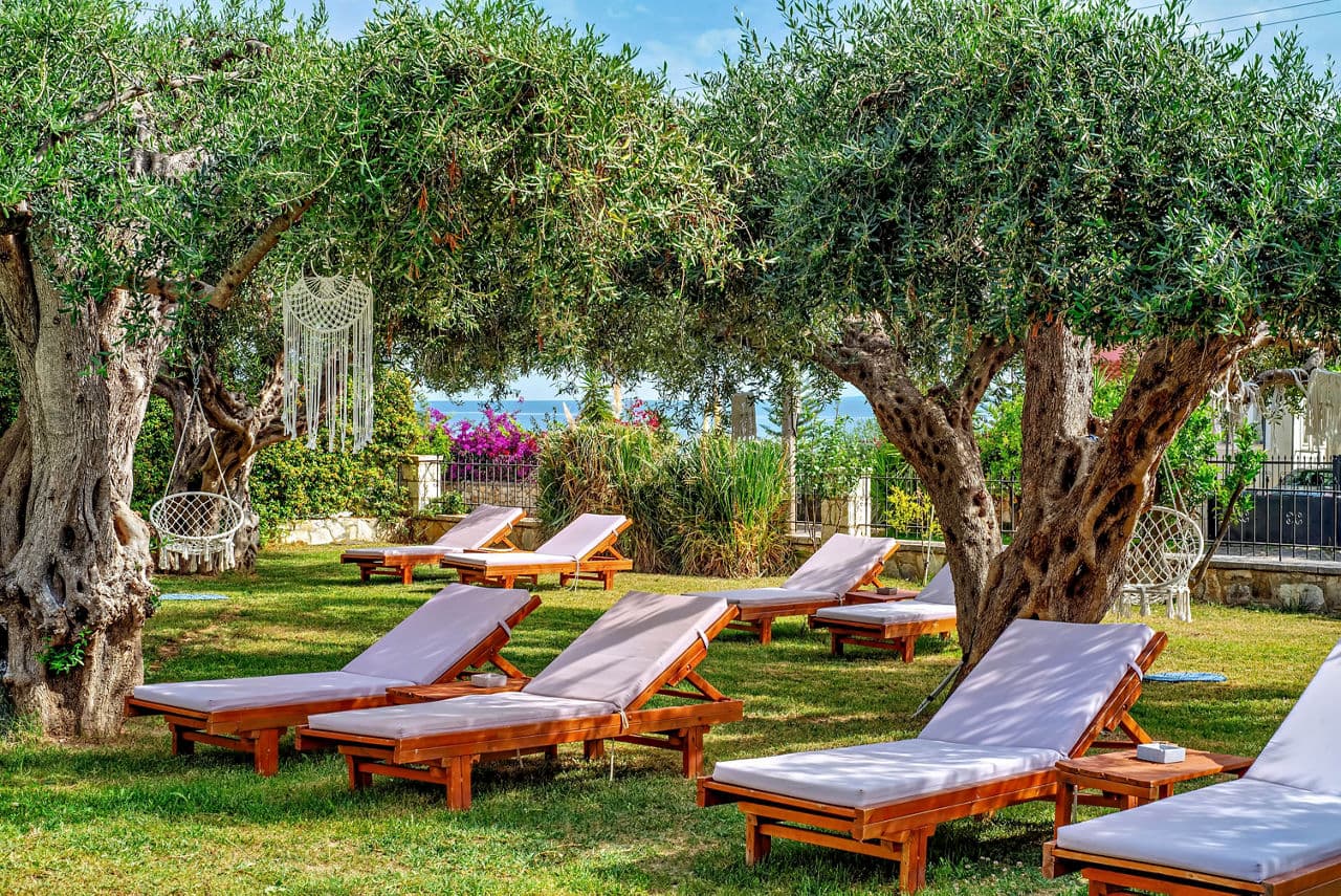 Eleonas Estate - photo 2