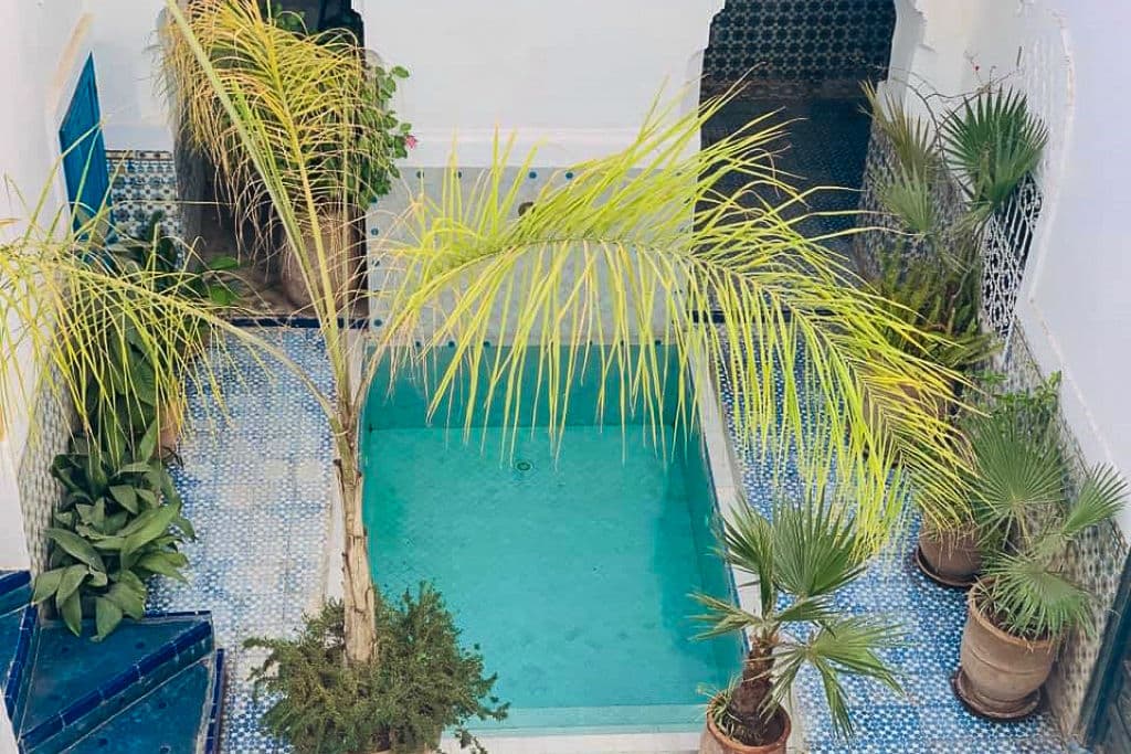 Riad Ifoulki - photo 3