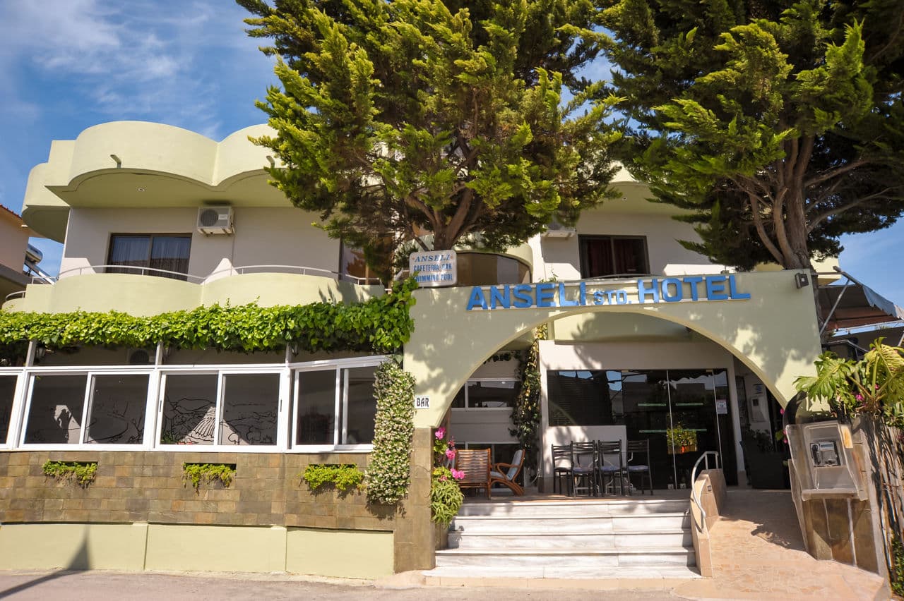 Anseli Hotel - photo 2