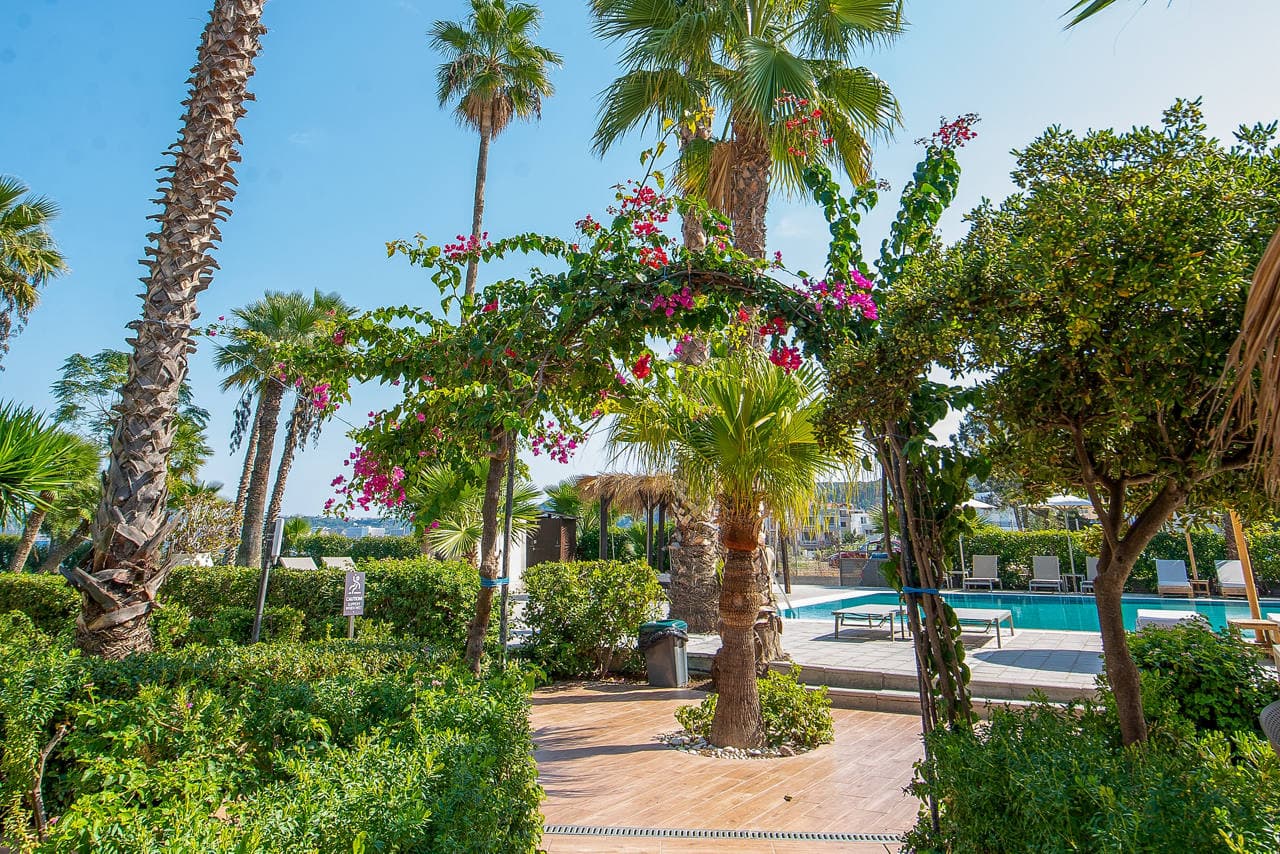 Ixia Dream- Rhodes - photo 3