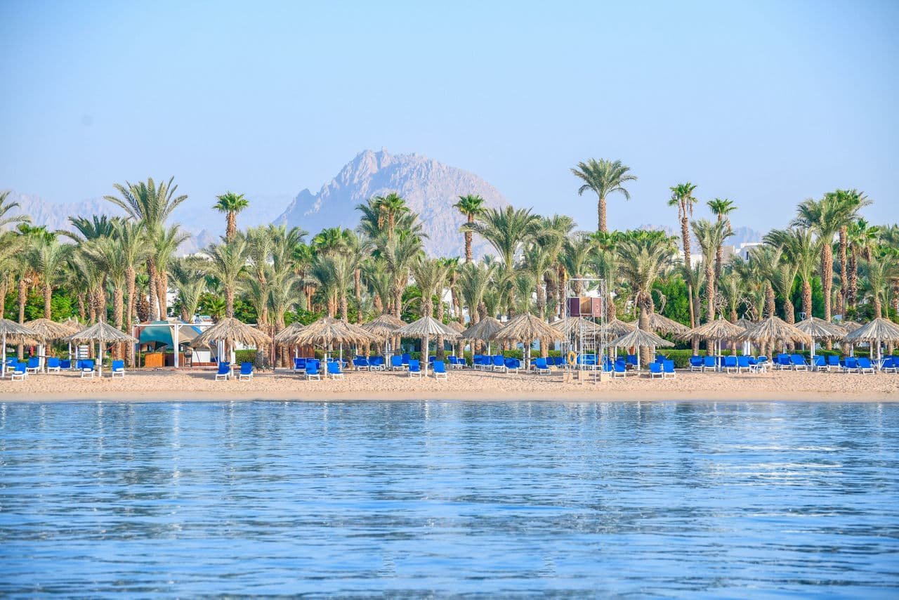 Jaz Sharm Dreams - photo 2