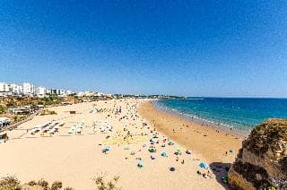 Praia da Rocha Holiday - photo 3