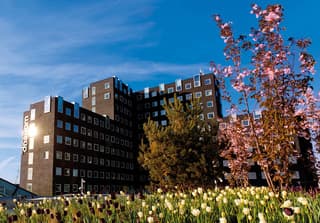 Copenhagen City Escape - photo 3