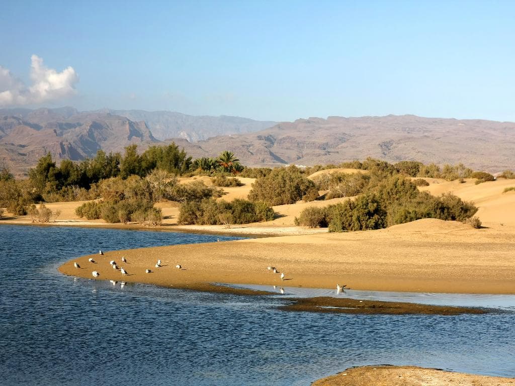 Maspalomas Getaway - photo 2
