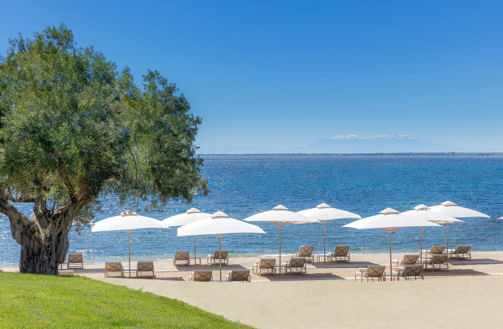 Luxurious beachfront retreat - main photo
