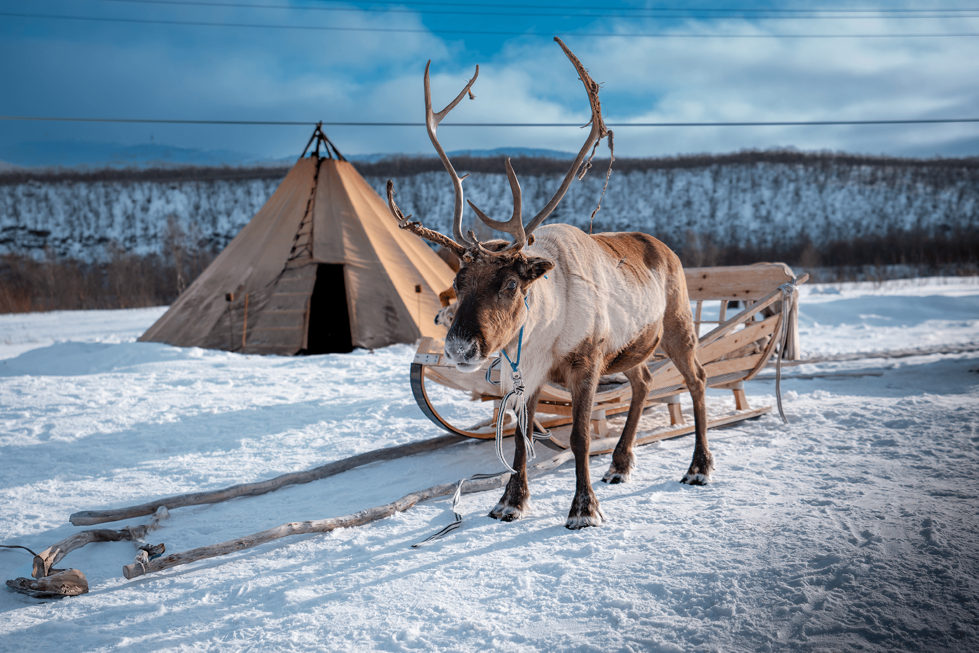 Ambassador Norwegian Arctic Adventure - photo 2