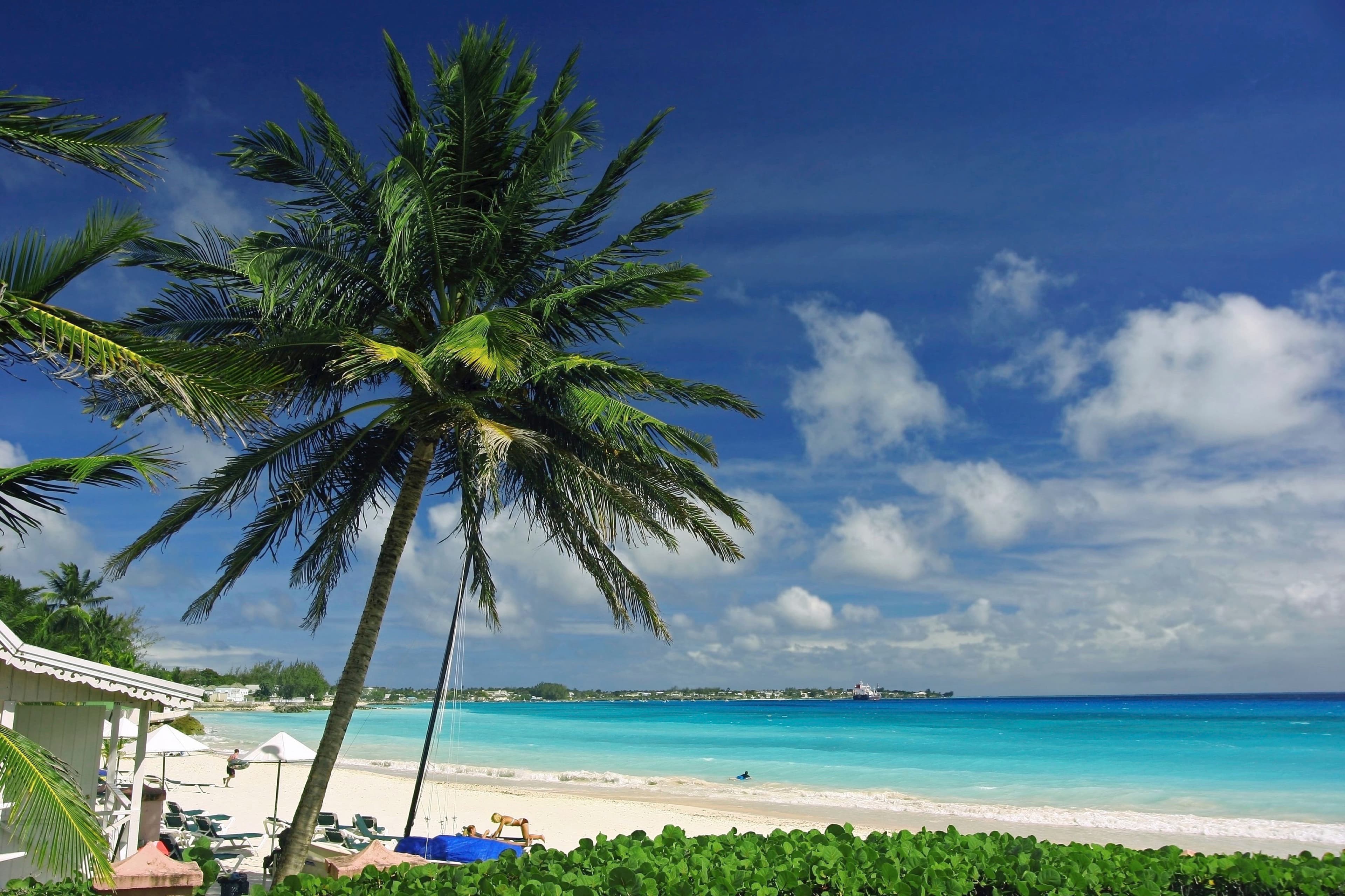 Caribbean Fly Cruise - main photo