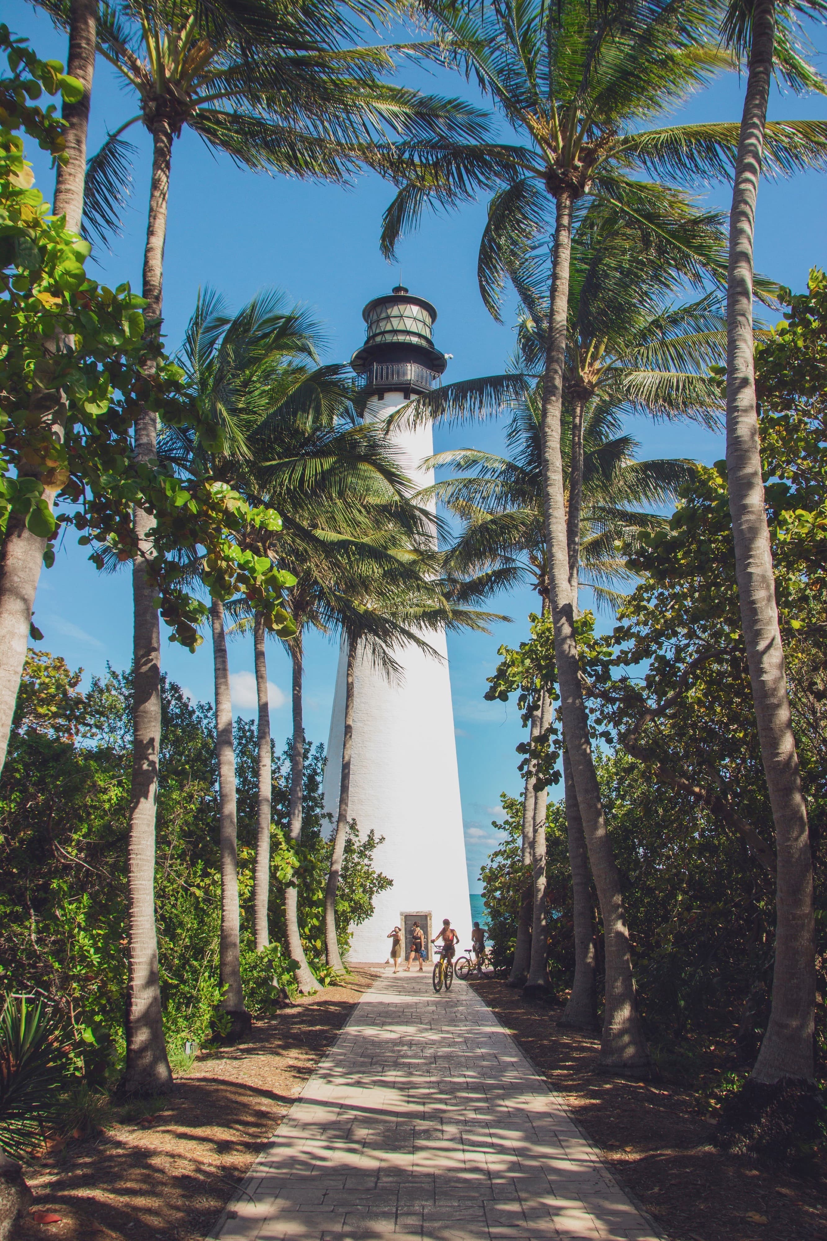 Cruise to Caribbean Bliss - main photo