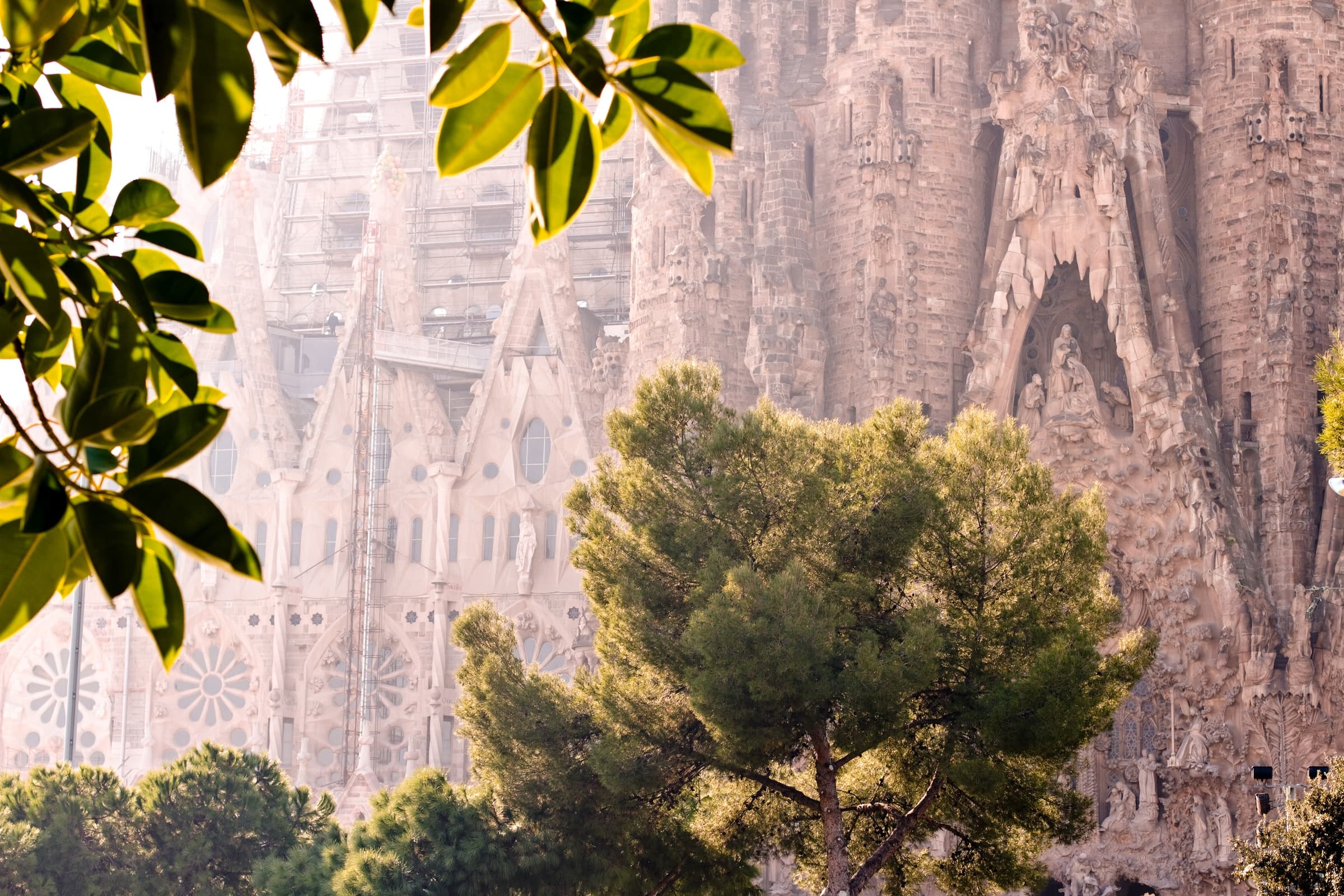 A Journey through the Artistic and Historic spirit of Medite - main photo