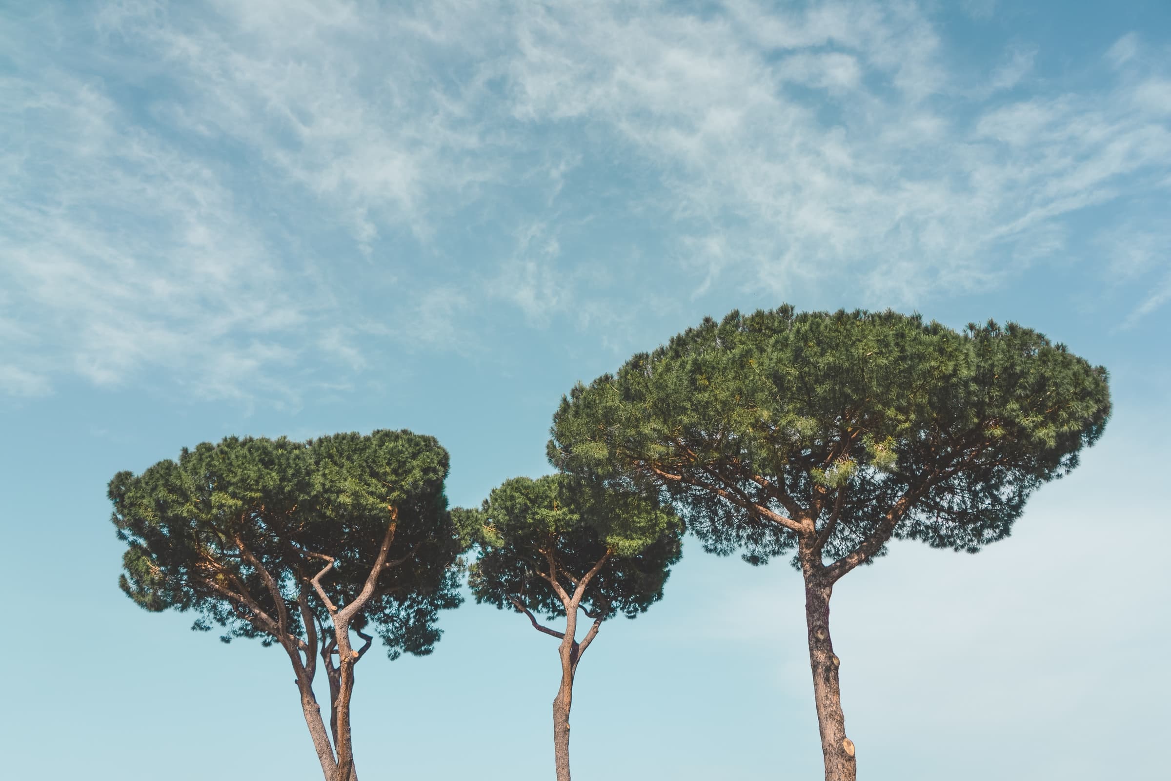 A Journey of Spirited Mediterranean Cities & Sunlit Islands - main photo