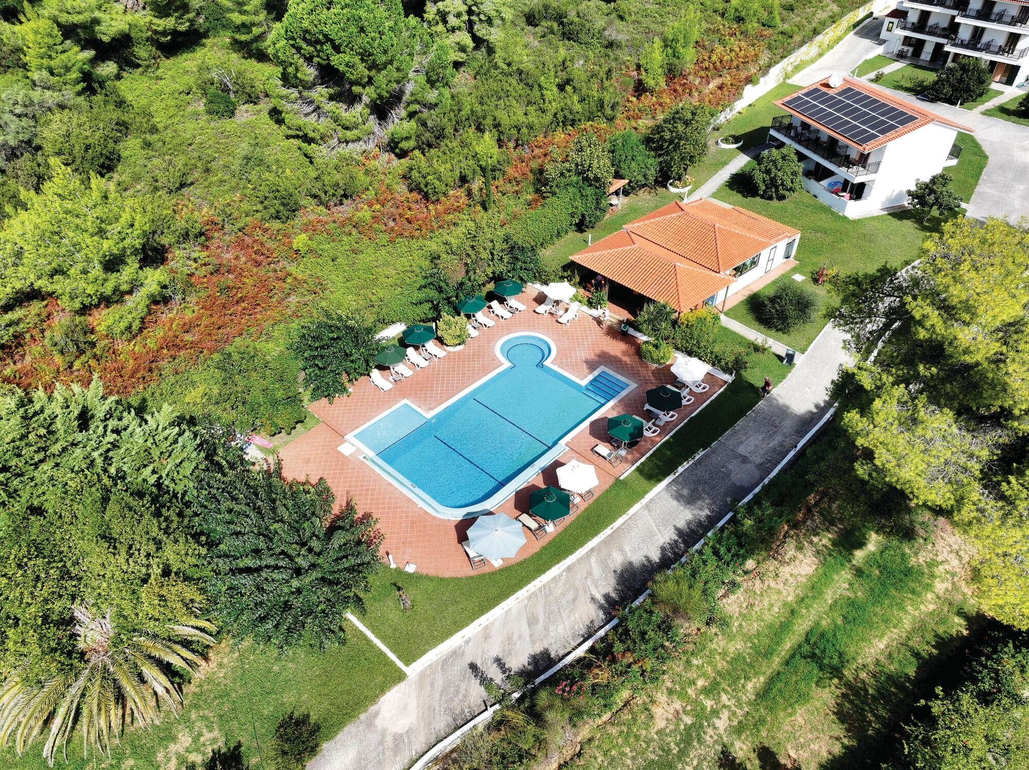Eliso Studios - Skiathos - photo 3
