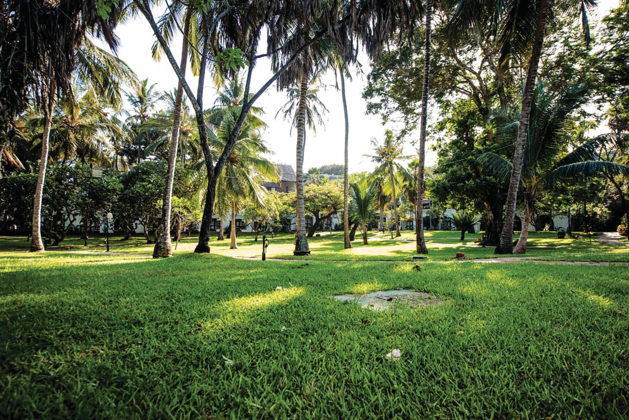 Serena Beach Resort - photo 2