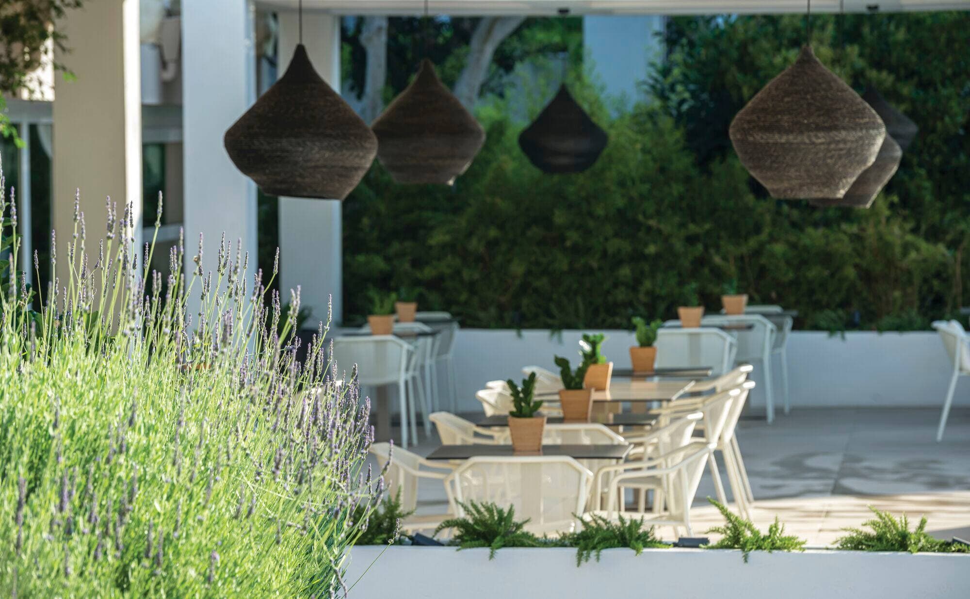 Zante - Bitzaro Grande Hotel - photo 3