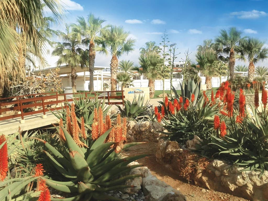Akti Beach, Paphos - photo 3