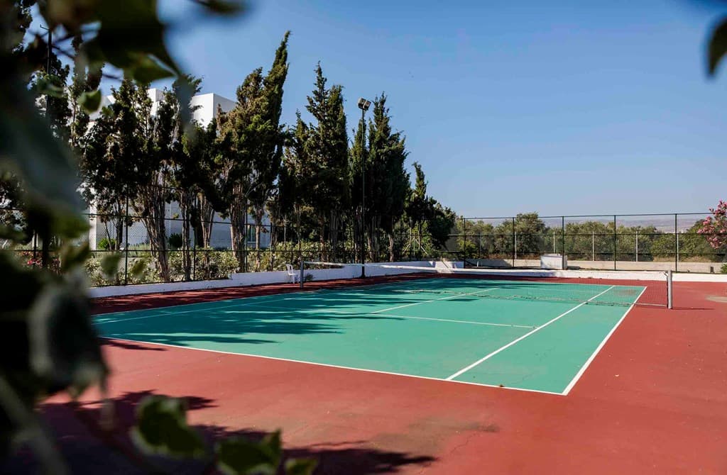 Aliathon Aegean Resort - photo 3