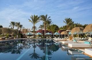 Hurghada Area, Desert Rose - photo 3