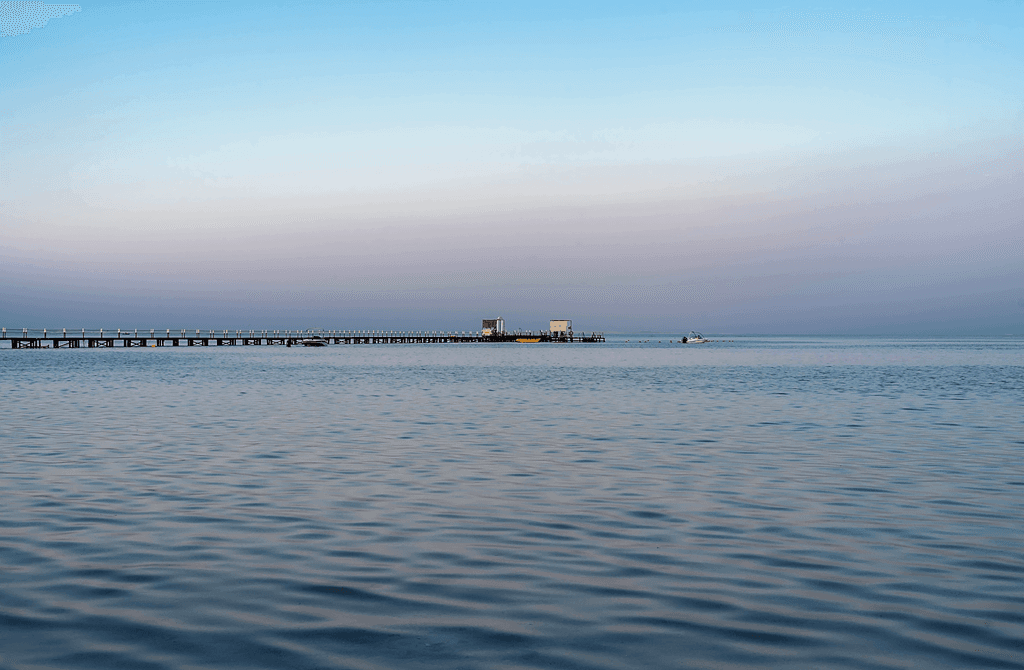 Aurora Oriental Resort - photo 3