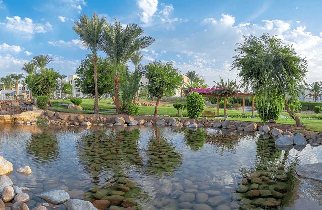 Aurora Oriental Resort - photo 3