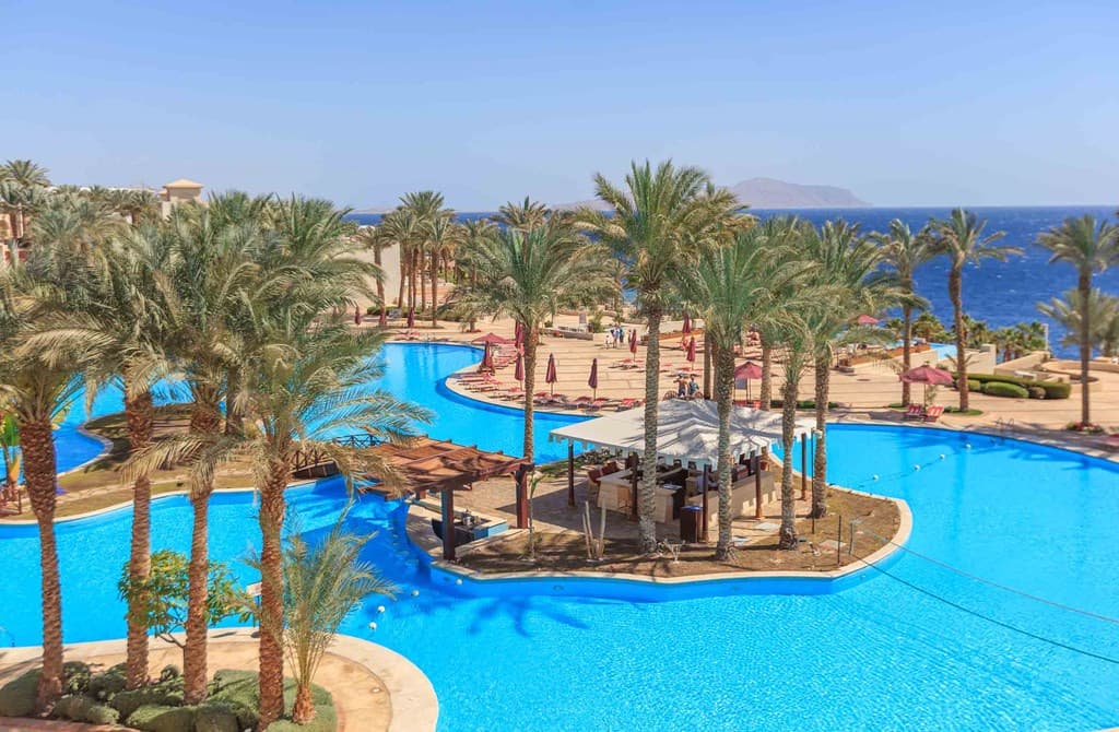Sharks Bay, Grand Rotana