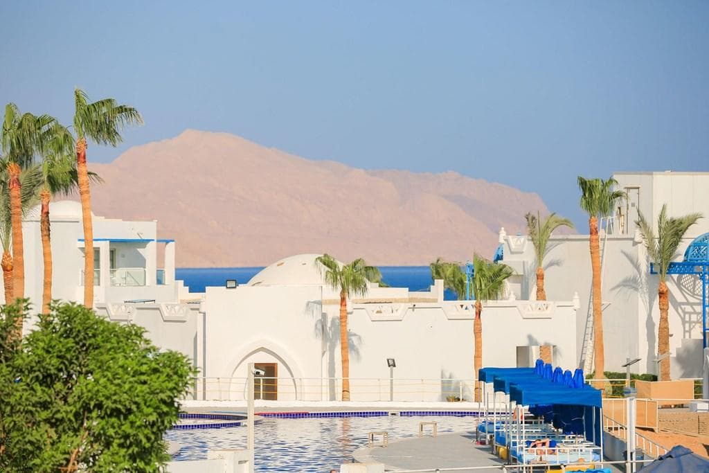 Pickalbatros Palace Resort - photo 3