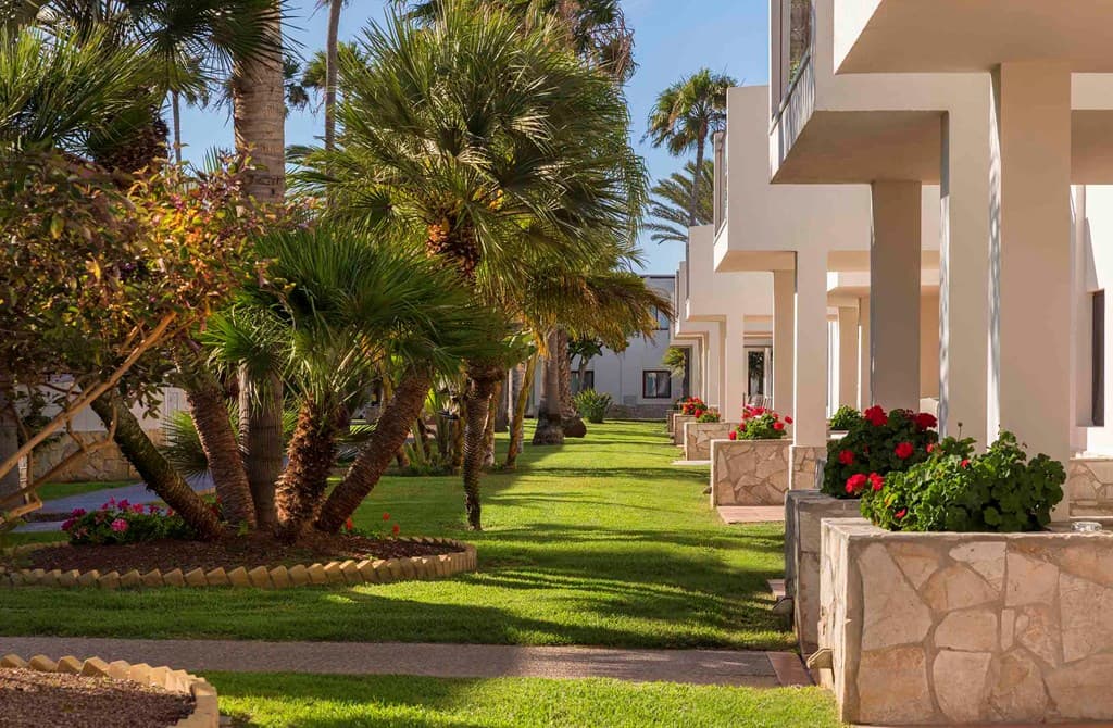 Beachfront Family Suites - photo 3