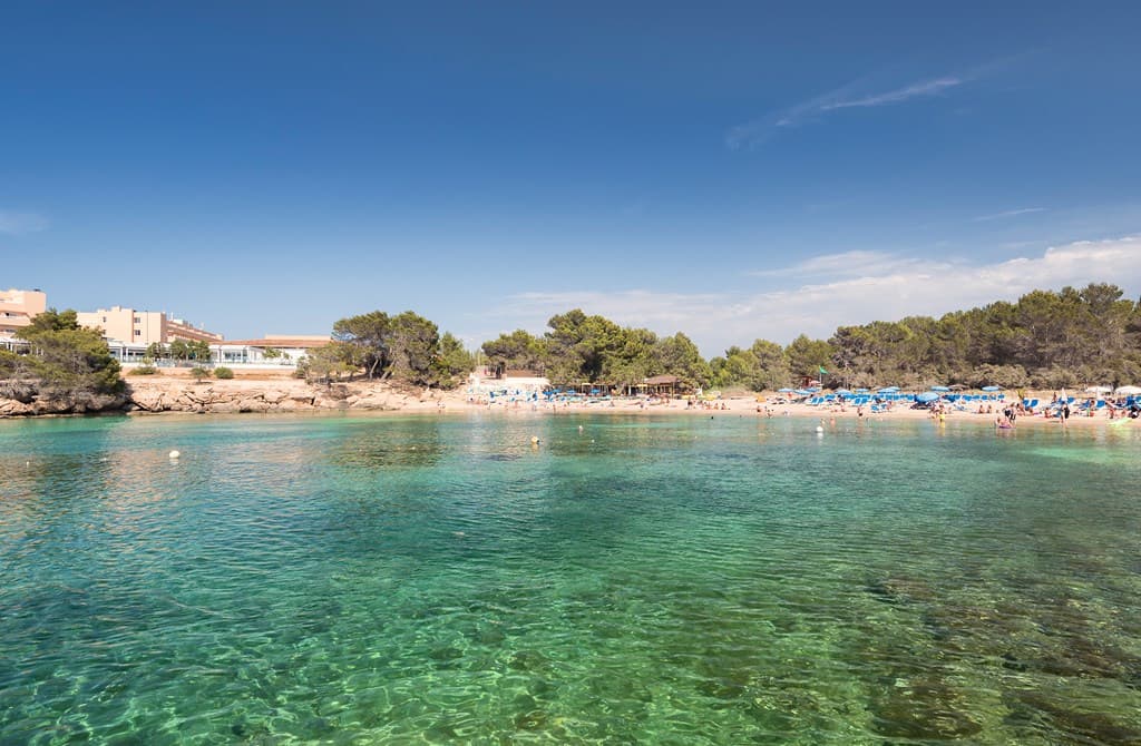 Occidental Ibiza - photo 3