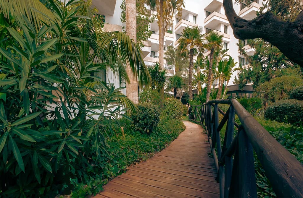 Palma Nova, Globales Nova - photo 3