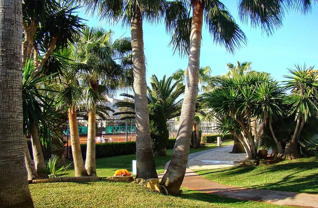 Cala Millor, Club Simo - photo 3