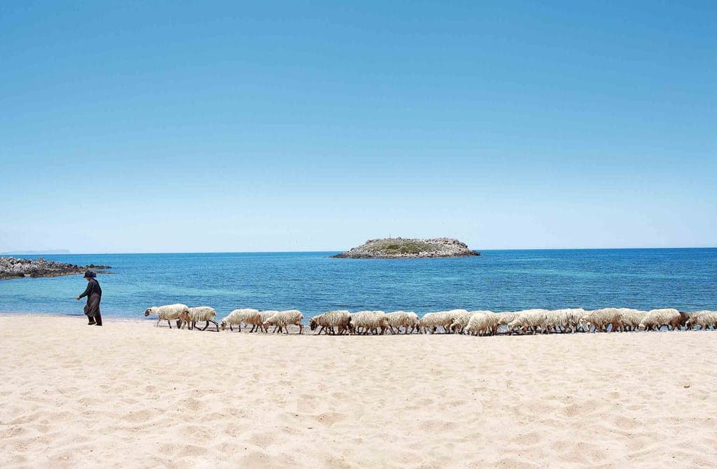 Grecotel Meli Palace - photo 3