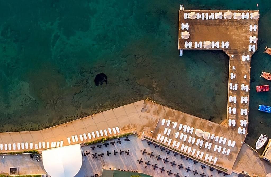 Duja Didim, Altinkum - photo 3