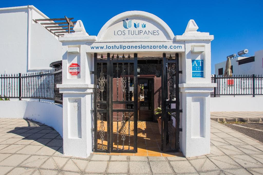 Los Tulipanes - photo 3