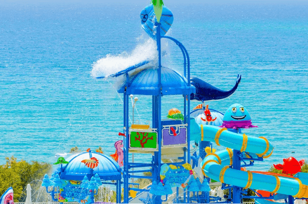 Maxeria Blue Didyma - photo 3